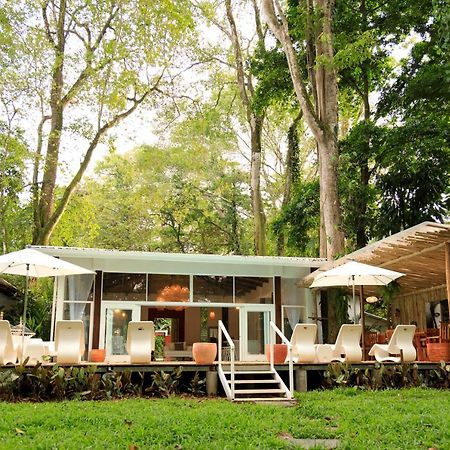 Gigi Brown Villa Frida Beachfront Puerto Viejo de Talamanca Zewnętrze zdjęcie