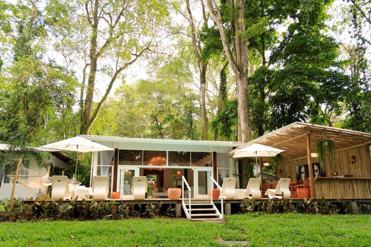 Gigi Brown Villa Frida Beachfront Puerto Viejo de Talamanca Zewnętrze zdjęcie