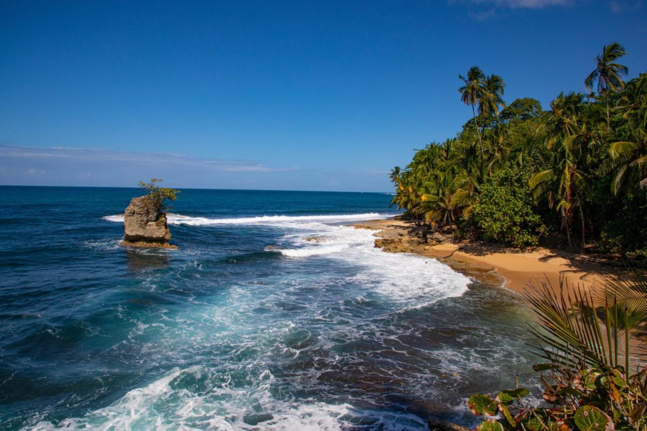 Gigi Brown Villa Frida Beachfront Puerto Viejo de Talamanca Zewnętrze zdjęcie