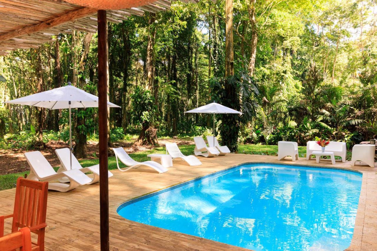Gigi Brown Villa Frida Beachfront Puerto Viejo de Talamanca Zewnętrze zdjęcie