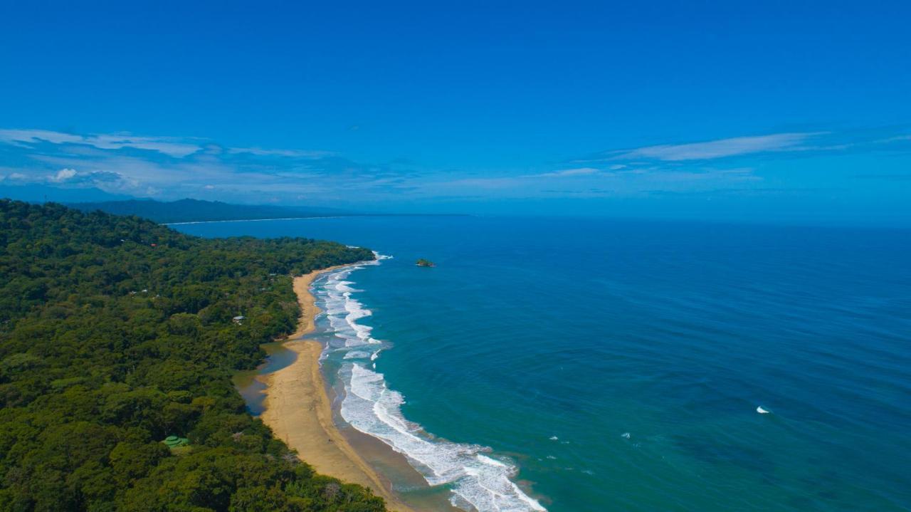 Gigi Brown Villa Frida Beachfront Puerto Viejo de Talamanca Zewnętrze zdjęcie